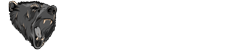 Hosting Provider - Grey Bear Enterprises